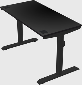 Dual motor electric desk