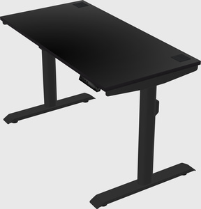 Dual motor electric desk