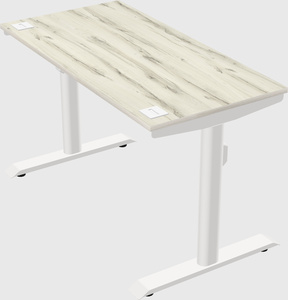 Bureau électrique à double moteur