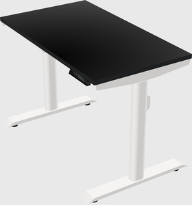 Dual motor electric desk