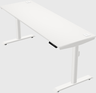 Dual motor electric desk