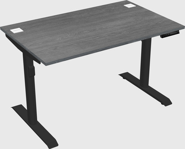 Dual motor electric desk