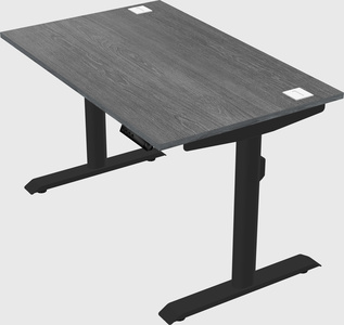 Dual motor electric desk
