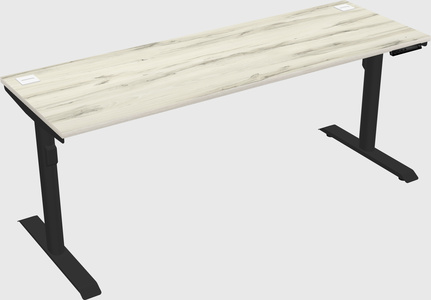 Bureau électrique à double moteur