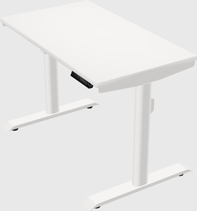 Dual motor electric desk
