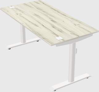 Dual motor electric desk