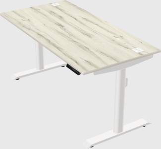 Dual motor electric desk