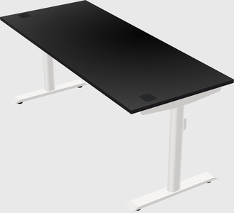 Dual motor electric desk