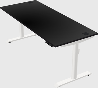 Dual motor electric desk