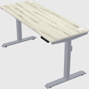 Dual motor electric desk