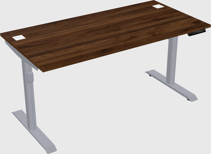 Dual motor electric desk
