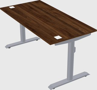Dual motor electric desk