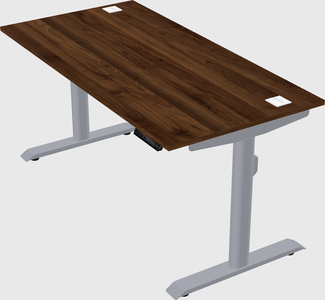 Dual motor electric desk