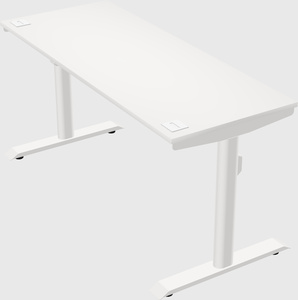 Dual motor electric desk