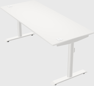 Dual motor electric desk