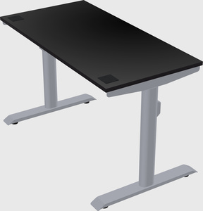 Dual motor electric desk
