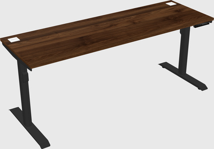 Dual motor electric desk
