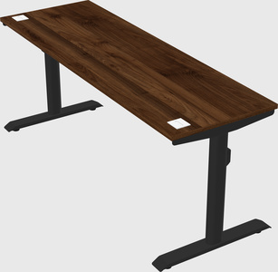 Dual motor electric desk