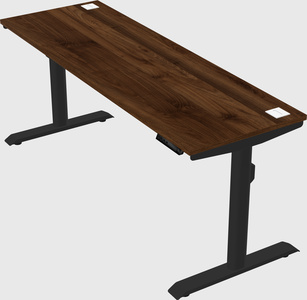 Dual motor electric desk