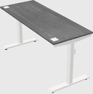 Dual motor electric desk