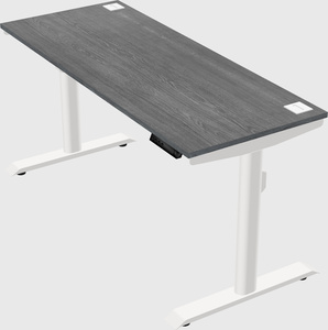 Dual motor electric desk