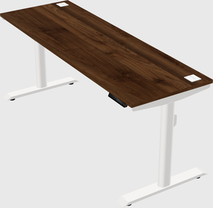 Dual motor electric desk