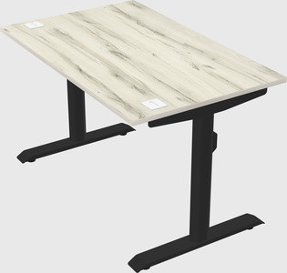 Dual motor electric desk