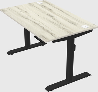 Dual motor electric desk