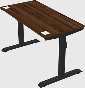 Dual motor electric desk