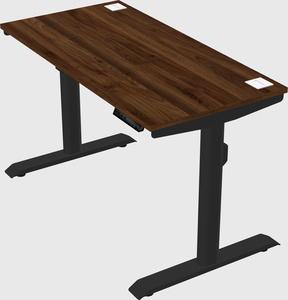 Dual motor electric desk