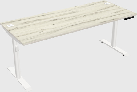 Dual motor electric desk