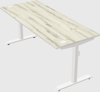 Dual motor electric desk