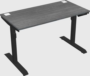 Dual motor electric desk