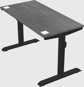 Dual motor electric desk
