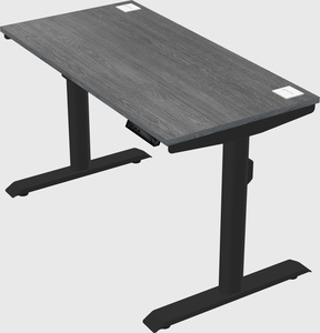 Dual motor electric desk