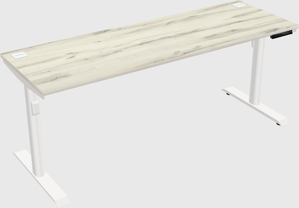 Dual motor electric desk