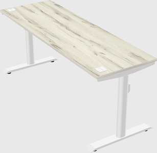 Dual motor electric desk