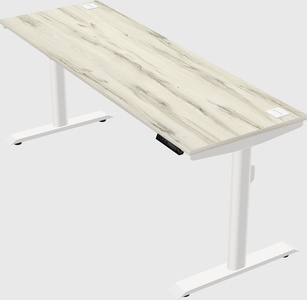 Dual motor electric desk