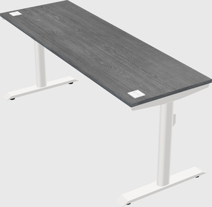 Dual motor electric desk