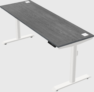 Dual motor electric desk
