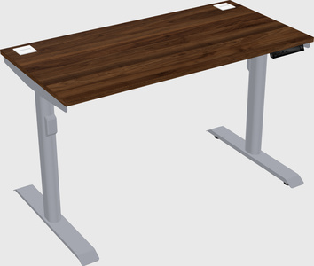 Dual motor electric desk