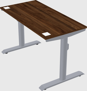 Dual motor electric desk