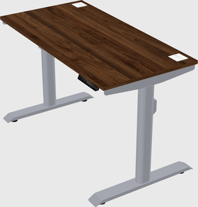 Dual motor electric desk