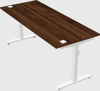 Dual motor electric desk