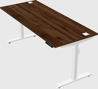 Dual motor electric desk