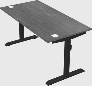 Dual motor electric desk