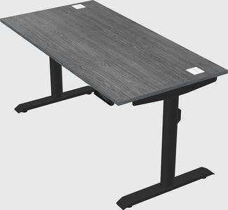 Dual motor electric desk