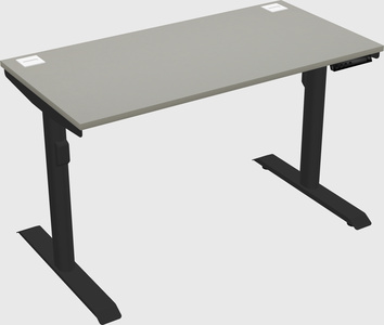 Dual motor electric desk