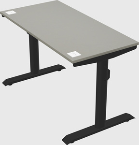 Dual motor electric desk