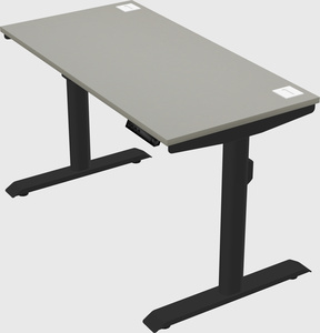 Dual motor electric desk